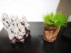 -金谷里艺术馆