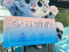 -青藏高原野生动物园