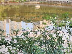 -龙头寺公园