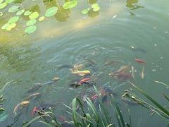 -西安华清御汤酒店