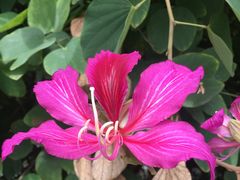 -闽江夜游台江旅游码头