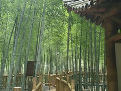 -陶祖圣境风景区