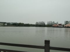 -上海长兴岛郊野公园