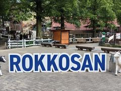 -神户市立六甲山牧场