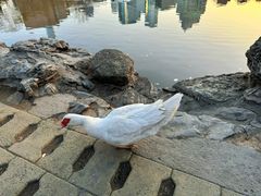 -团结湖公园