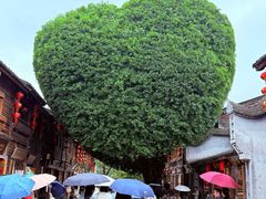 -三坊七巷历史文化街区