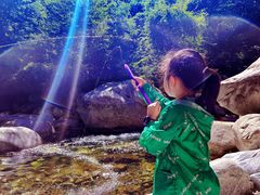 -青峰峡国家森林公园