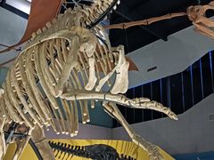 -湖南省地质博物馆