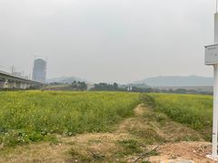 -光明小镇欢乐田园
