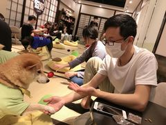 -逗柴咖啡屋·狗咖猫咖宠物桌游