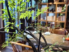 -茶肆(仙林店)