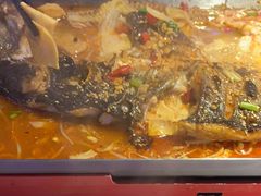 -马邦子·紫苏烤鱼(恒隆广场店)