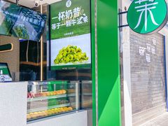 -茉酸奶(春熙路店)