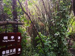 -呀诺达热带雨林