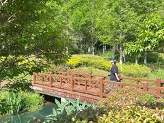-石塘人家