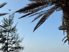 -花乐餐厅(涠洲岛店)