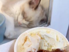 -Dip in Gelato(富民路店)