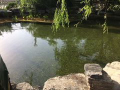 -黄村公园