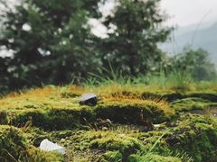 -天龙八部武侠城