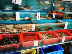 水产区-新享乐海鲜(翠华路店)