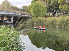 -上海滨江森林公园