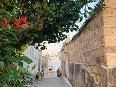 -八婆婆烧仙草(中山路店)