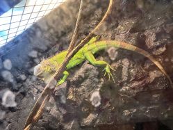 -HEY!TATTOO·嘿刺青