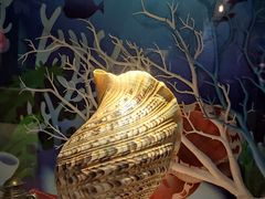 -多彩贵州城极地海洋世界