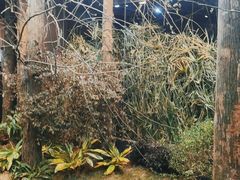 -时间仓(月湖公园店)