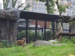 -武汉动物园
