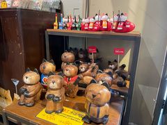 -猫咪博物馆(顶澳仔猫街店)