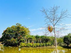 -中国科学院西双版纳热带植物园