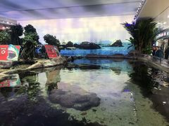 -鸿通城购物中心