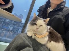 -怪兽屋·羊驼·猫咖·狗咖(俊华广场店)