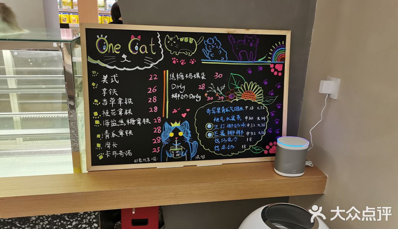 OneCat布偶猫咖~~可可爱爱,超级治愈