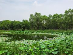 -东郊湿地公园