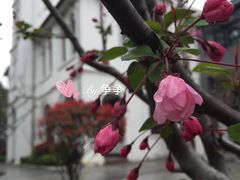-锡师附小学(学前街校区)