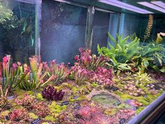 -中国科学院西双版纳热带植物园