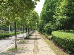 -羊山湖公园