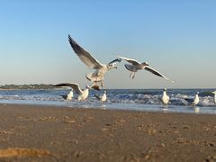 -北戴河东海水浴场