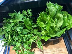 -东椰·海南椰子鸡火锅(朝阳门店)