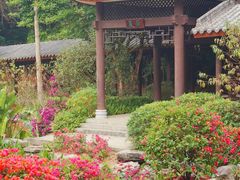 -广州市白云山风景名胜区