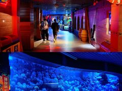 -太平洋海底世界