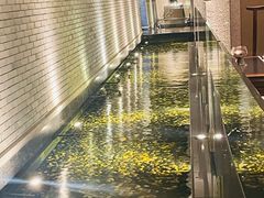 -晶采轩(虹桥路店)