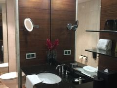 -新加坡文华东方酒店