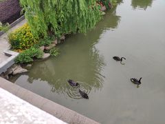 -浙江越秀外国语学院