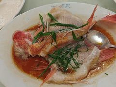 -黄埔华苑酒家(黄埔总店)