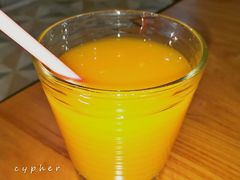 沙棘汁饮料-巴依老爷新疆美食(望京小街店)