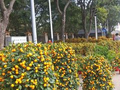 -福神岗公园