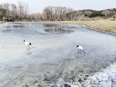 -沈阳森林动物园
